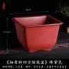 Maceta Cuadrada Creativa Planta Suculenta Árbol de la Fortuna Bonsái Maceta Especial de Jardinería Maceta de Plástico Simple