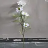 Combinación de Flores Artificiales Blancas Magnolia Phalaenopsis Rosa Diente de León Decoración Escénica de Boda Material de Flor Artificial Fabricante