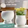 Vaso de Cerâmica para Flores com Prato, Estilo Ins de Luxo Leve, Diâmetro Grande, Estilo Creme, para Orquídeas e Suculentas, Liquidação