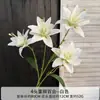 Jin Xi Flor Branca Simulada Diamante Rosa Rosa Hortênsia Decoração de Auditório de Casamento Material Floral Decoração de Sala de Estar em Casa Flor Artificial