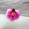 Pinza para el pelo de una sola cabeza con simulación de Phalaenopsis 3D, estilo europeo, con forma de mariposa y flor, accesorios para el pelo, tocado DIY, pinza de pico de pato, pinza lateral
