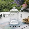 Aromaterapia Aceite Esencial Fragancia Piedra Expansora Hogar Interior Larga Duración Incienso sin Fuego Decoración Piedra de Chispa Piedra de Aromaterapia Fragancia para Dormitorio