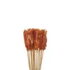 Brochetas pequeñas al por mayor para barbacoa de mercado nocturno, selección completa de brochetas calientes y frías, brochetas fritas, productos semiacabados, pollo Bobo y brochetas de cordero