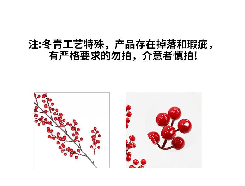 冬青
