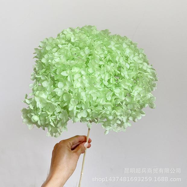 QQ图片20200806133208.jpg