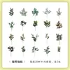 Serie Museo Natural Yuezhen Paquete de Pegatinas Pegatinas Vintage para Diario Infantil Pegatinas de Flor y Mariposa PET