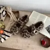 Sapatos de Pelo Internos Aumentadores de Altura para Mulheres 2025 Outono e Inverno Novo Estilo Tira com Fivela Sapatos Mary Jane com Pelúcia Extra