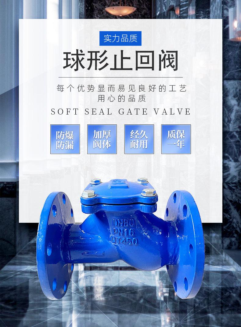 球形止回阀_01.jpg