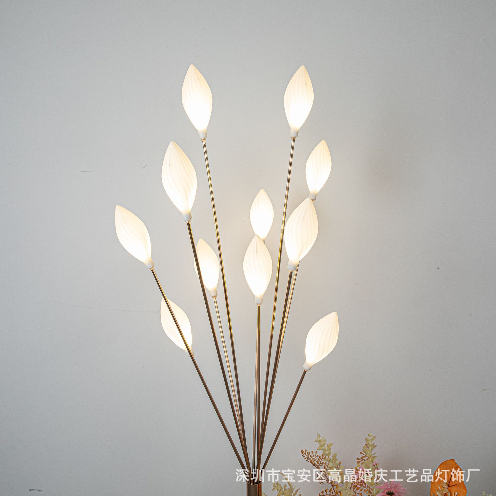 五郎传媒-2581_WPS图片