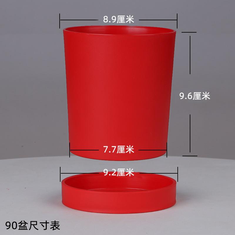 90盆带托盘