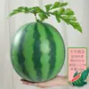Melancia Artificial Melancia Falsa Modelo de Fruta Brinquedo Adereço Black Beauty Melão Kirin Melancia Grande Decoração de Loja de Frutas