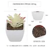 Más de 100 Tipos de Combinaciones de Plantas Suculentas Artificiales en Maceta Mini, Ventas Transfronterizas Populares, Estilo Sencillo Decoración del Hogar Flores Artificiales y Plantas Verdes, Directo de la Fábrica Fuente