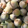 Entrega mayorista Xinjiang Wei Di Li 2 / 1.5 kg Caja de colores arándanos de pulpa roja, caja completa, jugosos, crujientes, dulces, fruta fresca