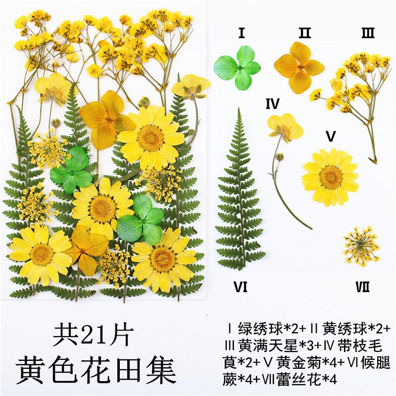IMG_4114_副本_副本.jpg