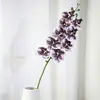 Orquídea Phalaenopsis Artificial para Decoraciones de Bodas de Hotel, Phalaenopsis Artificial de Alta Gama, Phalaenopsis de Planta Verde Simulada