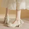 Novos Sapatos de Noiva Franceses com Salto Grosso para Uso Externo 2026 Bico Quadrado de Temperamento Sapatos Individuais de Princesa Sapatos de Dama de Honra Casamento Salto Alto Feminino