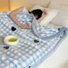 Sábana, manta y plaid de tejido raschel - una manta gruesa y ultrasuave tipo nube para el invierno, que proporciona calidez en todas las estaciones y es adecuada para siestas en la oficina