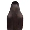 Moda Europeia e Americana Nova Transfronteiriça Peruca Cor Vinho Cabelo Liso de Comprimento Médio Peruca Frontal com Renda Cobertura Completa da Cabeça