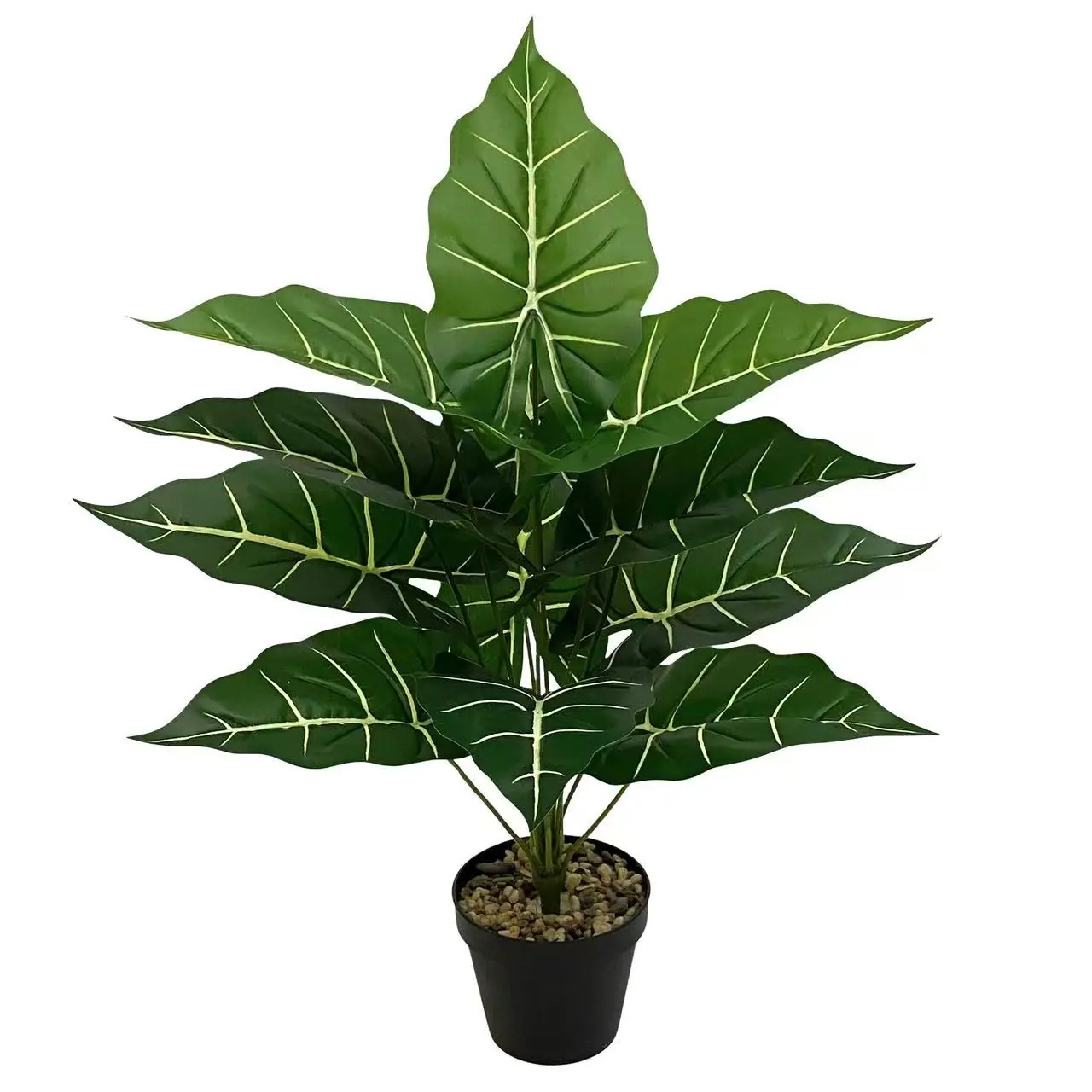 微信图片_20251119101929