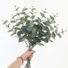 Planta Simulada Eucalipto Arranjo de Flores para Casa Planta Verde Decoração Floral Flor de Mão Galho Único Folha de Dinheiro de 3 Pontas Eucalipto