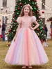 Vestido Popular Transfronterizo para Niñas con Mangas Abullonadas, Tul de Colores, Lentejuelas, Vestido de Princesa, Vestido de Dama de Honor, Vestido para Actuación de Piano, Vestido de Presentadora, Vestido de Gala