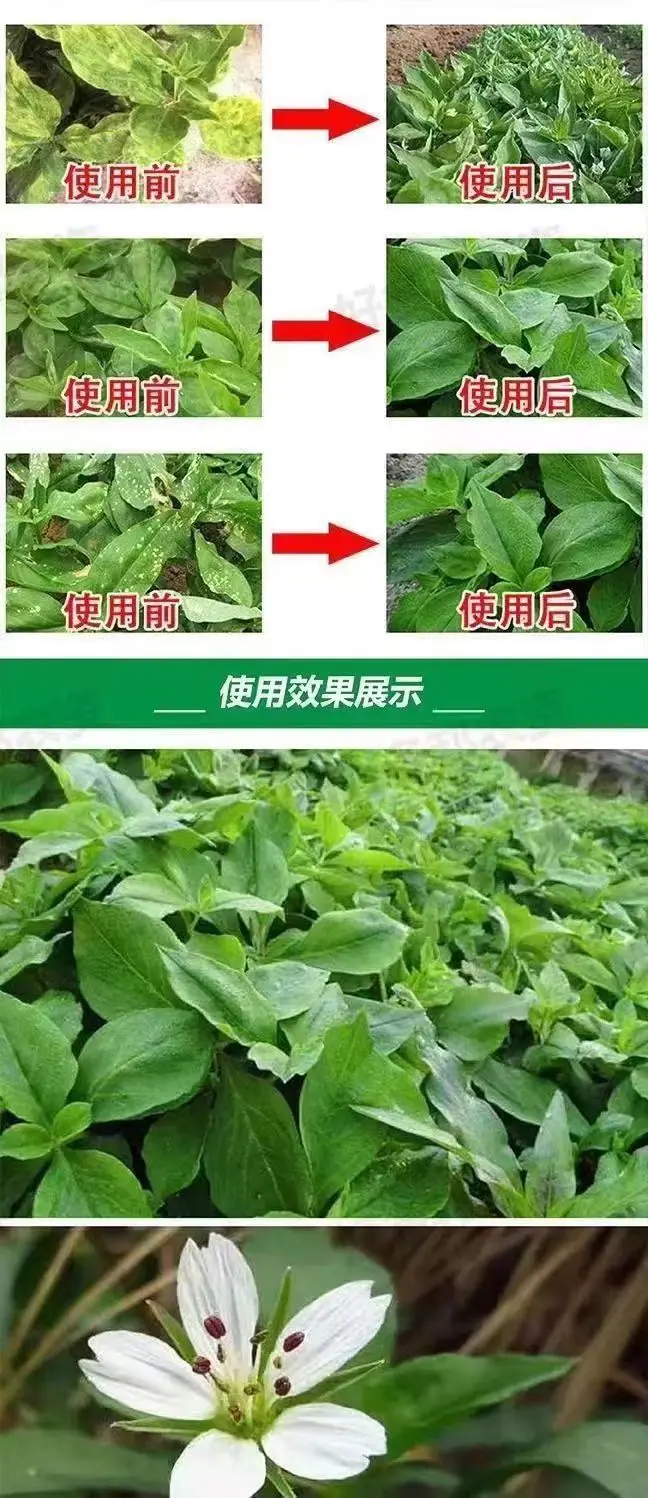 微信图片_20230811110956