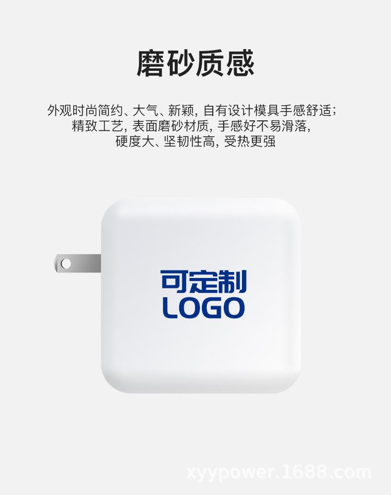 PD100W氮化镓C+C美规