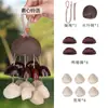 Cáscaras de Fruta Naturales, Cobre, Cuatro Semillas Interesantes Estilo Madera Natural, Kit de Materiales Hechos a Mano DIY de Frutas, Sonajeros Artísticos de Nicho, Regalos