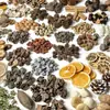 Kit de Moldura para Fotos com Materiais de Flores Secas DIY: Espigas de Trigo, Bolotas, Cascas de Frutas Secas, Pinhas, Lascas de Madeira, Espécimes Vegetais Feitos à Mão
