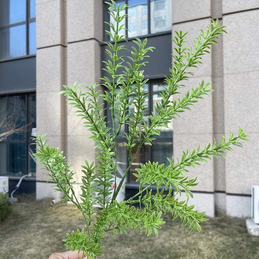4叉原色新香草 绿色 2.5元.JPG