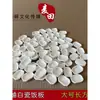 Suministros para grillos, jaulas para grillos, bandejas de alimentación, tazones de comida y platos de alimentación de porcelana blanca pura