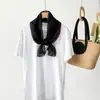 Lenço de Seda Liso Longo Feminino Primavera e Verão Colorido Europeu e Americano Fino Lenço de Pescoço Faixa de Cabeça Fita de Cabelo Atacado Transfronteiriço