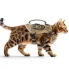Novo colete de tração para gatos, corda tática para gato, peito, alça traseira, refletiva, respirável, corda para caminhada de gatos em estoque, atacado