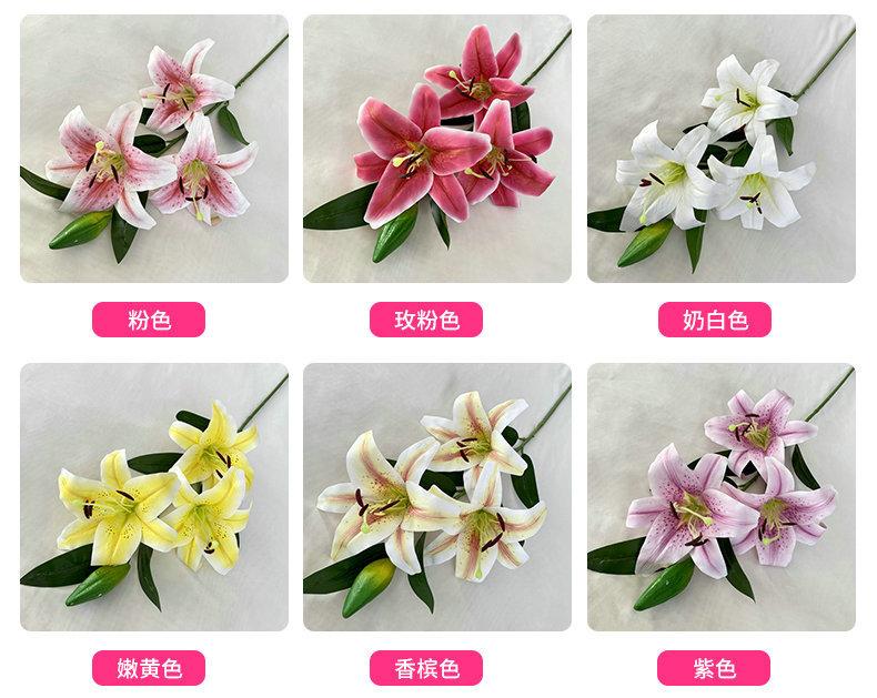 产品颜色.jpg
