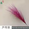 Capim-junco, capim-cebola, salão de banquetes de casamento, flor de seda decorativa alta, fundo externo, arte floral decorativa