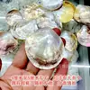 Promoción de ventas directas de fábrica de nuevas conchas de mariposa amarillas conchas de mariposa negras adornos de concha originales completos manualidades decorativas