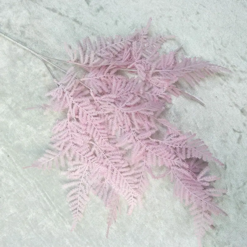 文竹浅粉色