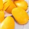 Manga Xiaotainong de Hainan 5kg Manga Xiaotainong Colhida na Hora Fruta Tropical da Estação Especialidade Manga Frete Grátis