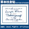 Pegatina de tatuaje de hierbas con diseño de planta de jugo, nombre en inglés, para hombres y mujeres, impermeable, de larga duración, simulación