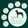 Roupas para cães pequenos, médios e grandes, colete protetor de barriga tipo urso de pelúcia, proteção para a barriga para prevenir resfriados, roupas pós-castração para cadelas, roupas para desmame
