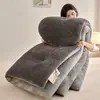 Novo edredom de inverno em fleece ártico com padrão de waffle transfronteiriço, roupa de cama de dupla face em fleece de coral para dormitório, outono e inverno