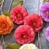 Flores Artificiales de Peonía Grandes, Flores Artificiales de Peonía Color Durazno, Peonía Koi, Arreglo Floral para Salón de Bodas, Materiales Florales de Fondo, Flores Artificiales de Peonía