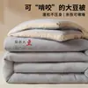 2026 Nueva Colcha de Fibra de Soja Colcha de Invierno para una Persona Colcha de Primavera y Otoño Colcha para Dormitorio de Estudiantes Núcleo de Colcha Estilo Cuatro Estaciones de Algodón Espesado