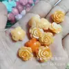 Laca Color Coral Polvo para Tallado Compactado Polvo de Concha Estéreo Flor Prensada Agujero Recto Flor de Rosa con Perlas Accesorios para Joyería DIY