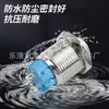 Botón Metálico Impermeable de 19mm, 2 Pines, Normalmente Abierto (1NA), Botón de Restablecimiento de Cabeza Plana, Botón de Control para Equipos Eléctricos