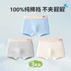 Roupa Íntima Masculina, Algodão Puro, Algodão Classe A, para Adolescentes em Fase de Desenvolvimento, Meninos Bebês, Crianças de Tamanho Médio e Grande, Cuecas Boxer de Tamanho Grande