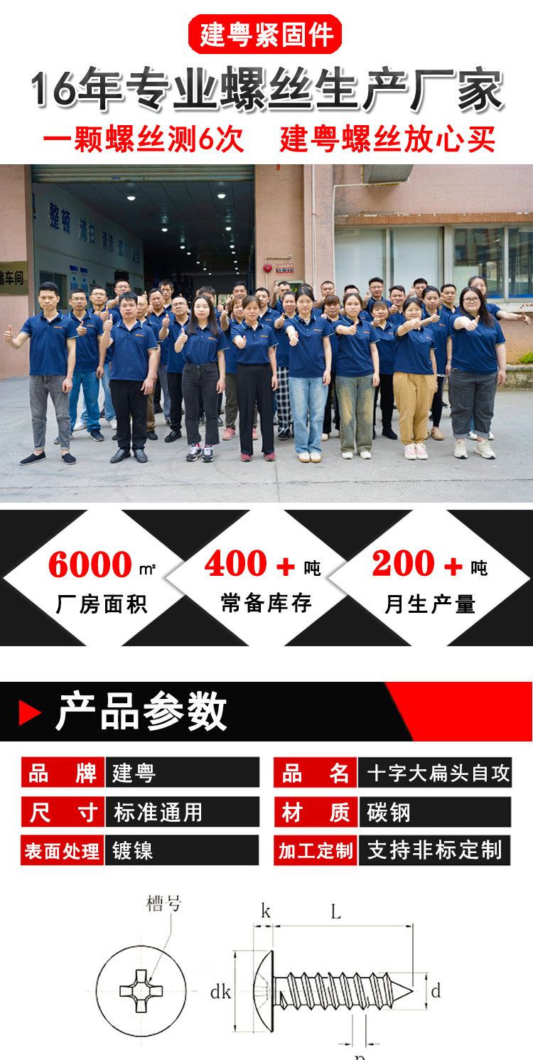 镀镍大扁头自攻详情页_01.jpg