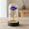 Adorno de Cúpula de Cristal con Flor Preservada, Regalo de San Valentín, Flor de Rosa, Día de la Madre, Regalo Creativo Pequeño de Navidad, Transfronterizo
