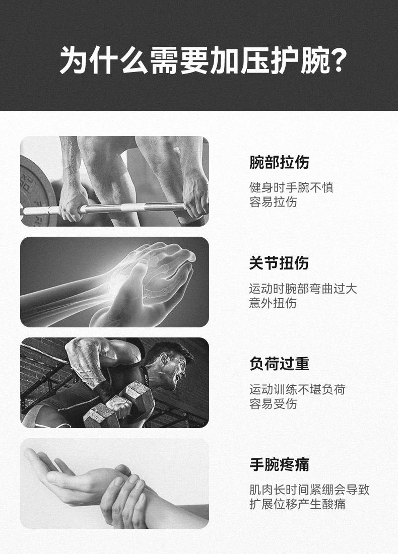 1538波尔_02.jpg