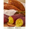 Batata Dulce de Castaña de Shaanxi, Qin Shu No. 5, Batata de Suelo Arenoso, Batata de Granja de Pulpa Blanca de Suelo Arenoso Lin Tong, Batata Pequeña